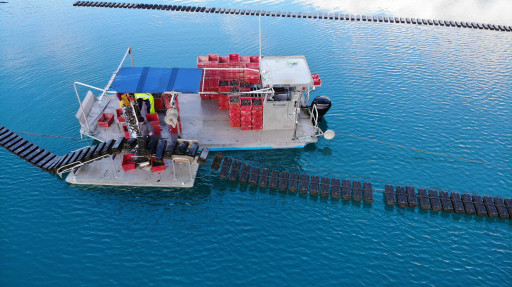 Automating Oyster Farming: FlipFarm Launching Two Products Set to Redefine Efficiency and Productivity in Oyster Aquaculture