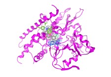 Modelling cytochrome P450 ligands using ProtoDiscovery™