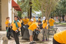 Hundreds of Scientology Volunteer Ministers took to the streets of downtown Clearwater to clean up the city after Hurricane Irma.