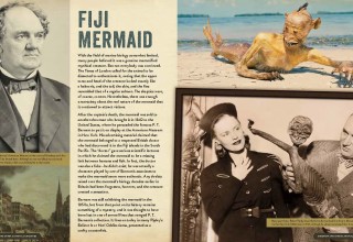 Fiji Mermaid Spread