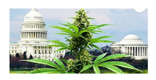 Judge Hears Landmark Hemp-Marijuana Challenge to Medicare Medicaid Reimbursing Payment Program