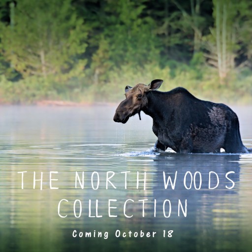 After 23 Introduces the North Woods Collection, Their Newest Handbag and Accessories Line