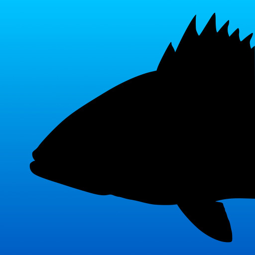 Fish Rules Announces New, Updated App