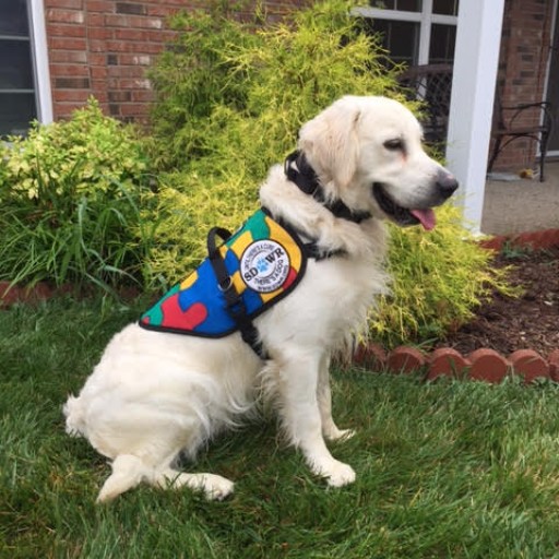 Service Dogs by Warren Retrievers Delivers Autism Service Dog to Child in Charlestown, Indiana