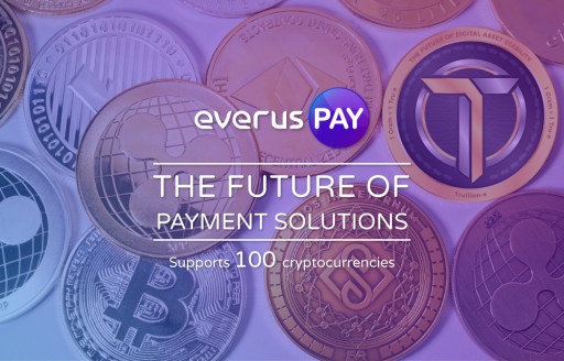 EverusPay - the Future of Payment Solutions