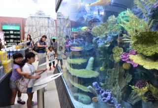 Aquarium created by Innovative Acrylics