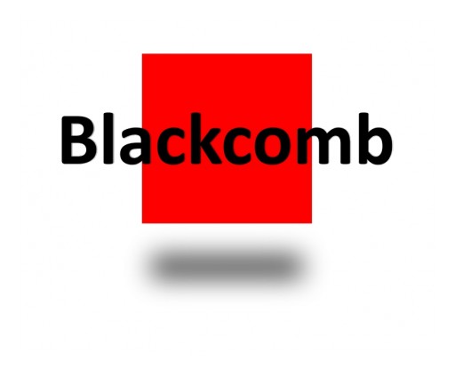 Blackcomb Consultants Creates New Senior Management Positions
