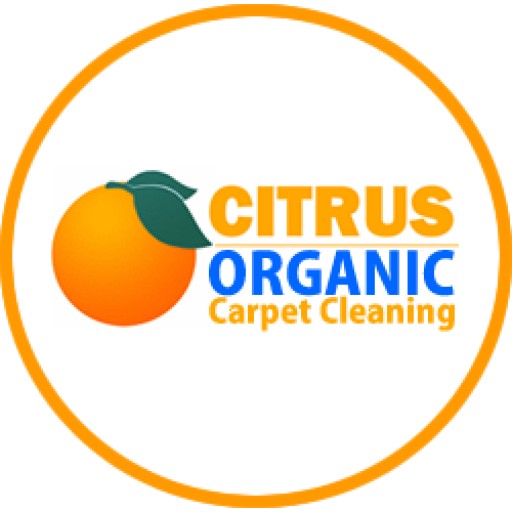 A Professional Carpet Cleaning In Encino, CA
