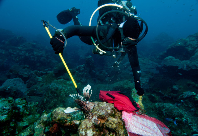 Photo Credit: G.P. Schmal NOAA
