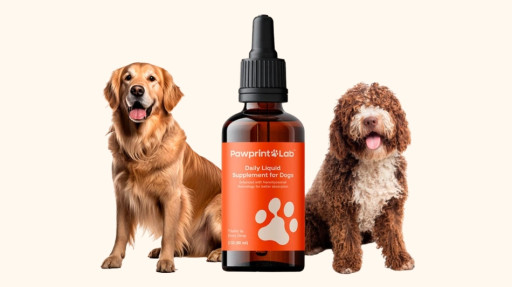 PawPrint Lab Protocol NMN & NAD Drops for Dogs Reviewed: The Daily Liquid Multivitamin for Pets