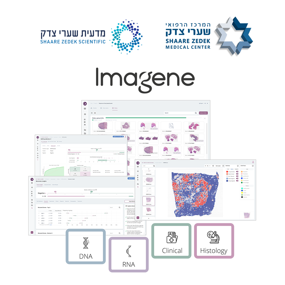 Imagene AI Oncology Intelligence Suite