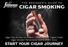 Cigars for Beginners Guide