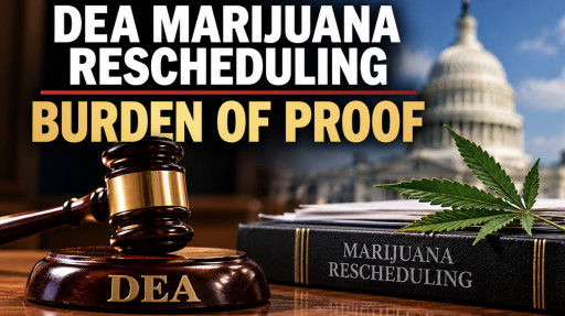 DEA Burden of Proof, Missing Rulebooks, and Expert Witness Admissions Threaten Marijuana Rescheduling