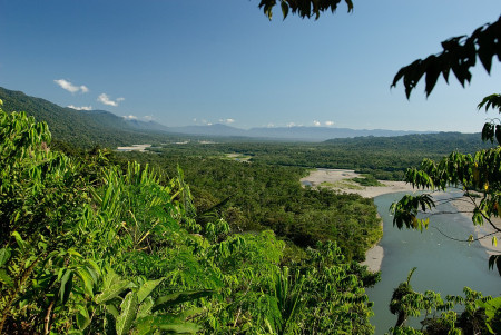 The SumUp Forest is located in the Peruvian Amazon