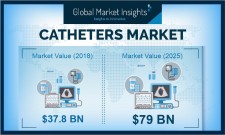 Catheters Industry Forecasts 2025 
