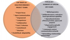 Building High Performance Project Teams for 21st Century