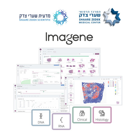 Imagene AI Oncology Intelligence Suite