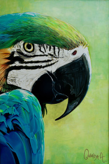 Oubaïda Azzouz, Blue Macaw Full Zoom