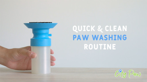 Keep Dog's Paws Clean in the Most Effective and Efficient Way Possible With an Amazing New Tool Created by Bay Area Pit-Bull Doggy Parent.