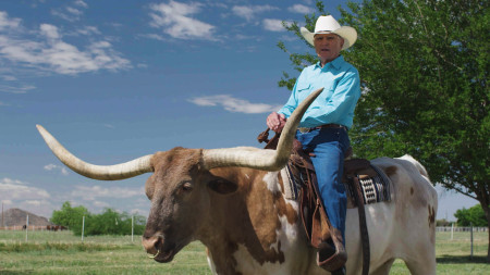 A Legendary Duo: Tex Earnhardt and Chisholm, the Iconic Steer of Arizona Advertising