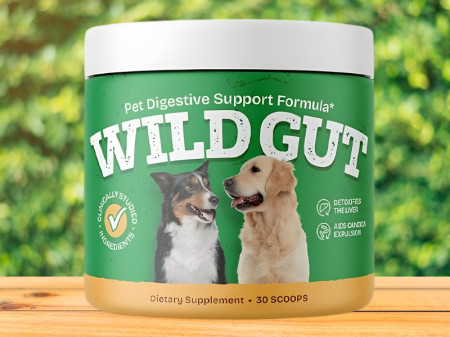WildGut Review 2025