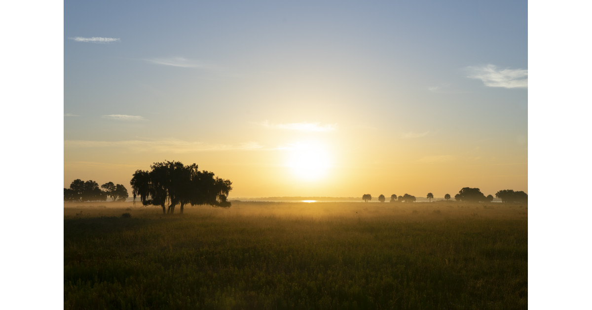 Florida's Wildlife Corridor Is Turning Five! Live Wildly Celebrates with a New Interactive Map Showing How Greater Conservation Inside the Corridor Can Bring Billions in Benefits