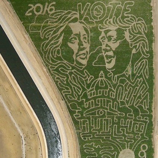 Huge Election-Themed Corn Maze in Patterson Features Likenesses of Hillary and Trump