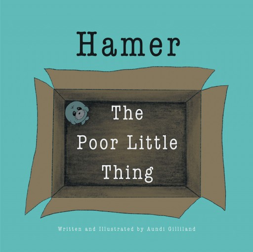 Aundi Gilliland's New Book 'Hamer: The Poor Little Thing' is a Heartwarming Tale of an Unwanted Toy's Journey in Finding the Perfect Companion to Play With
