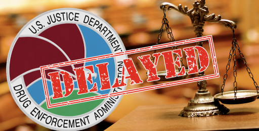 DEA's Marijuana Rescheduling Defense Under Fire: The Fallout From GAO's Procedural Findings