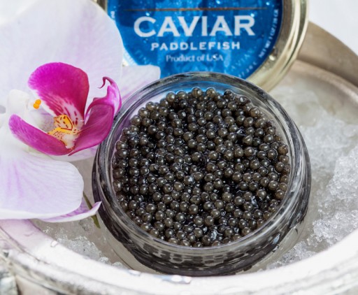 Paddlefish caviar