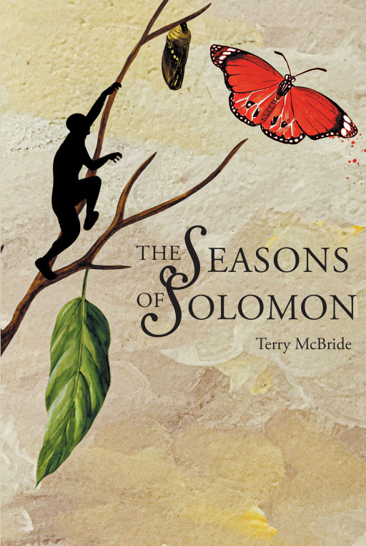 Author Terry McBride's new book, 'The Seasons of Solomon' is an inspiring faith-based tale that assures believers that they can have more than one calling