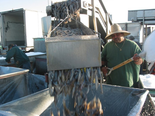 Two Ventura County Ports Drive Innovative Solution to Improve Trade