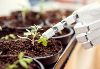 A robot can grow Marijuana for you from seed to harvest!