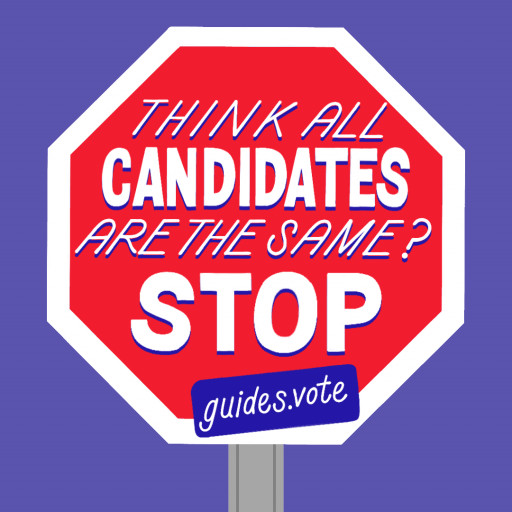 Guides.vote Releases Nonpartisan Voter Guides for Major State Races
