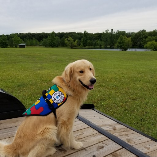 Service Dogs by Warren Retrievers Delivers Autism Service Dog to Twins in Marysville, OH