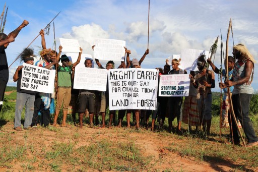Papuan Tribes Criticize US Group Mighty Earth for Fighting Development