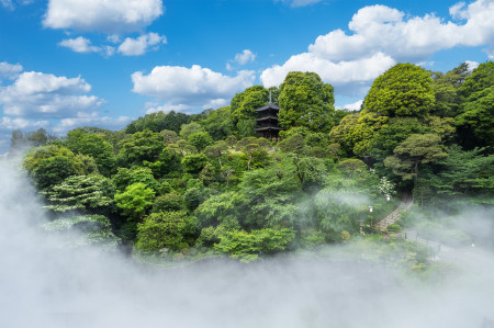 Chinzanso Garden and the Tokyo Sea of Clouds