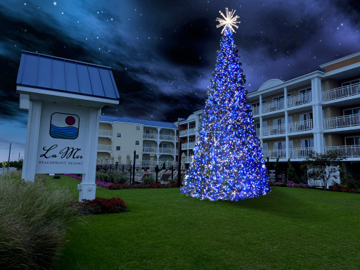 Sapphire Tree Lighting Ceremony