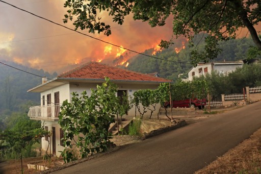 Mary Alexander & Associates Investigating Northern California Wildfire Liability