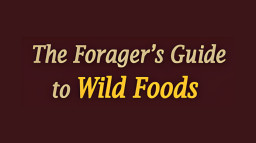 The Foragers Guide to Wild Foods