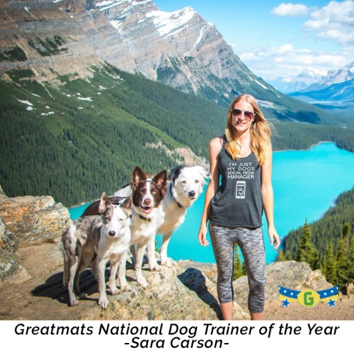 Sara Carson Wins National Dog Trainer of the Year Honor