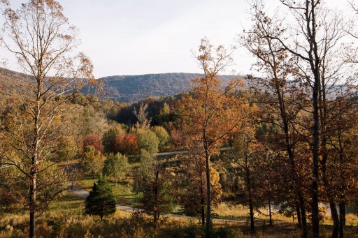Georgia-Alabama Land Trust Protects Scenic  Northwest Georgia Acreage