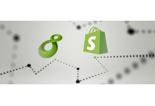 NS8 and Shopify Logos Design