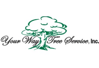 Your Way Tree Service