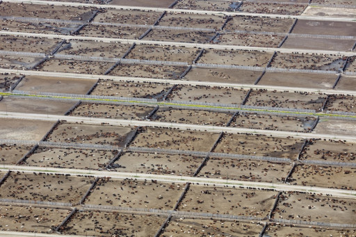 Climate Goals Threatened by Industrialised Animal Farming, Reveals Key International Study