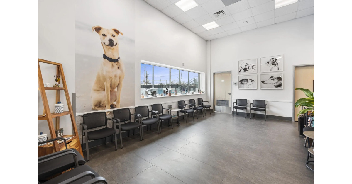 Animal Surgical Center Proudly Announces AAHA Accreditation: Leading the Way in Veterinary Excellence