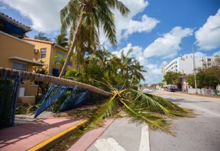 Scott Cooper Miami Beach Hurricane Season