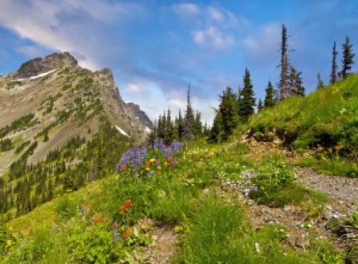 4-Day Introductory Meditation Retreat in Utah's Beautiful Powder Mountain Resort May 1 - May 4