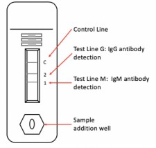 ZEUS Rapid SARS-CoV-2 IgM/IgG Test Cartridge
