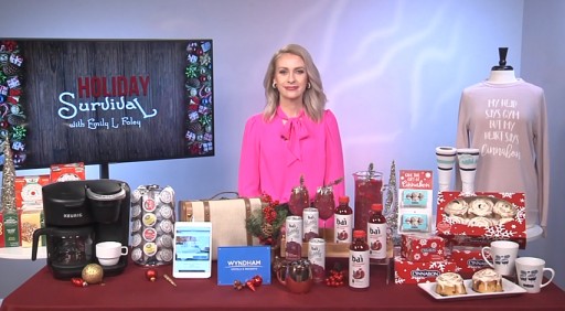 Holiday Survival Tips With Emily Foley on Tips on TV Blog